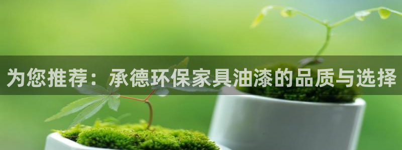 沐鸣2平台注册会员：为您推荐：承德环保家具油漆的品质与选择
