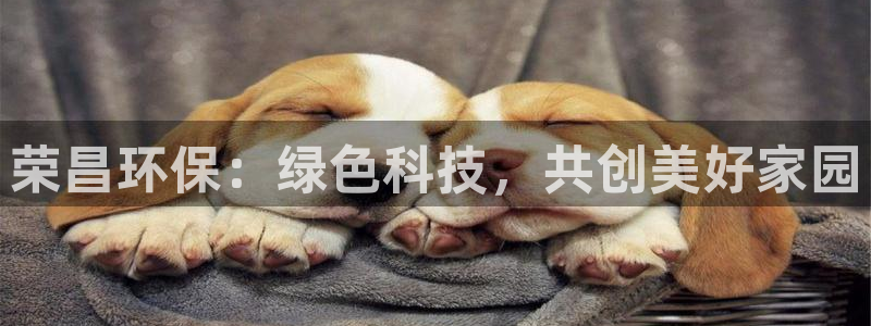 沐鸣2测速注册：荣昌环保：绿色科技，共创美好家园