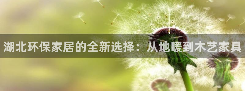 沐鸣2app怎样申请