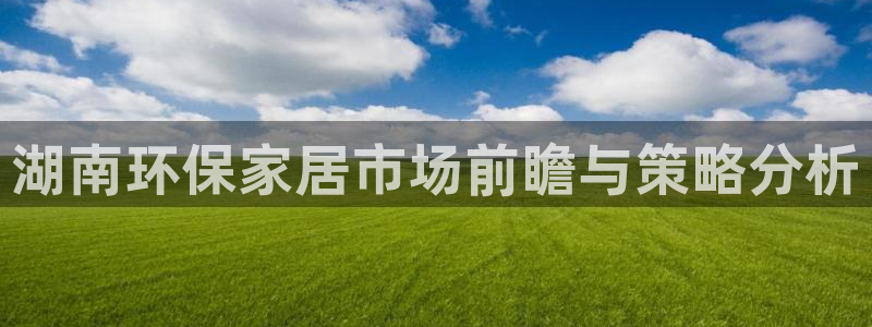 沐鸣2平台线路测速：湖南环保家居市场前瞻与策略分析
