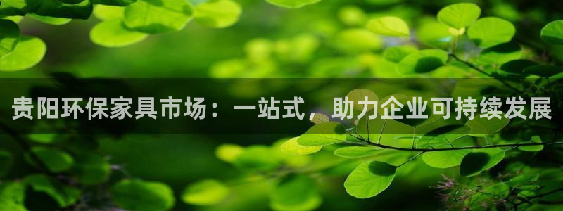 沐鸣2测速娱乐：贵阳环保家具市场：一站式，助力企业可持续发展