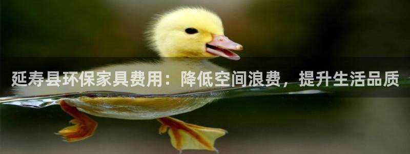 沐鸣2平台登陆测速：延寿县环保家具费用：降低空间浪费，提升生