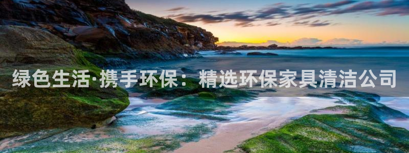 沐鸣2手机网页登录入口：绿色生活·携手环保：精选环保家具清洁